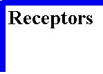 KINESTHETIC RECEPTORS