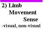 SENSE OF LIMB MOVEMENT