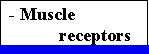 KINESTHETIC MUSCLE RECEPTORS