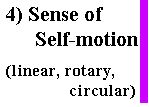 SENSE OF SELF-MOTION