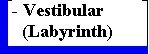 VESTIBULAR LABYRINTH